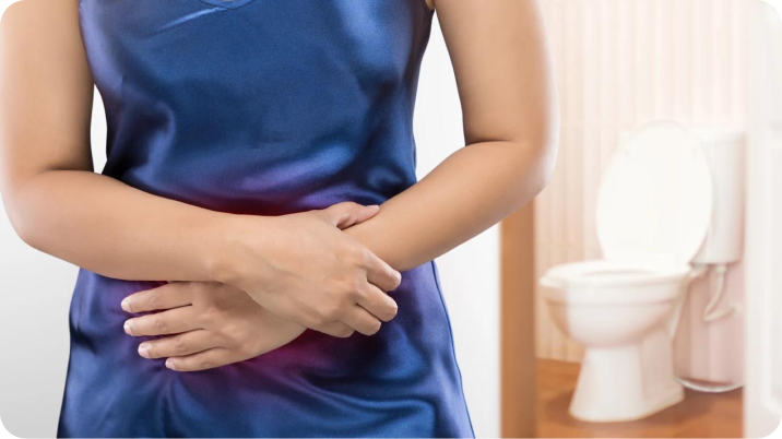 How Herbal Formulas Support Gut Comfort